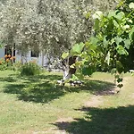 Apartment In Golden Chrysi Ammoudia